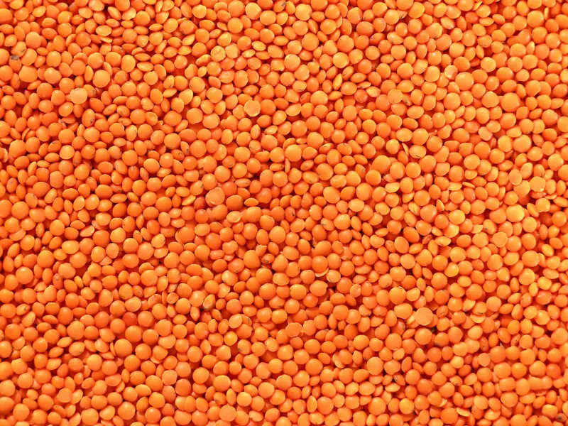 Lentils