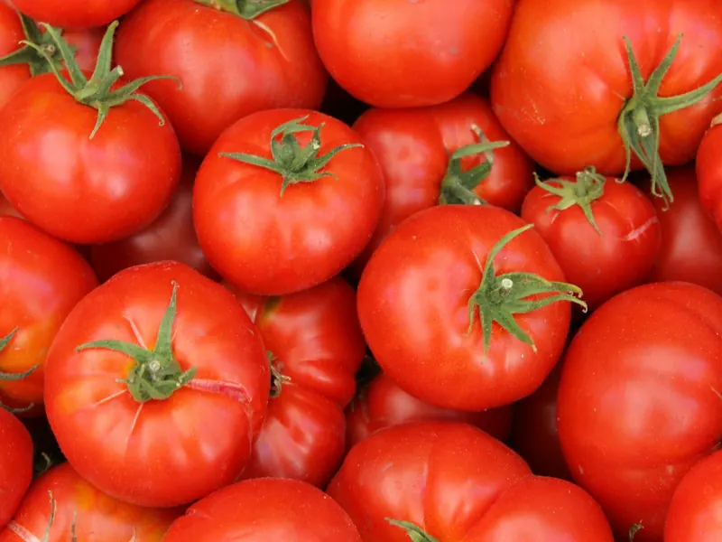 Tomatoes